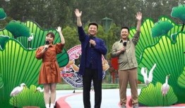 爆料衡水出轨案件视频最新,真相与争议交织